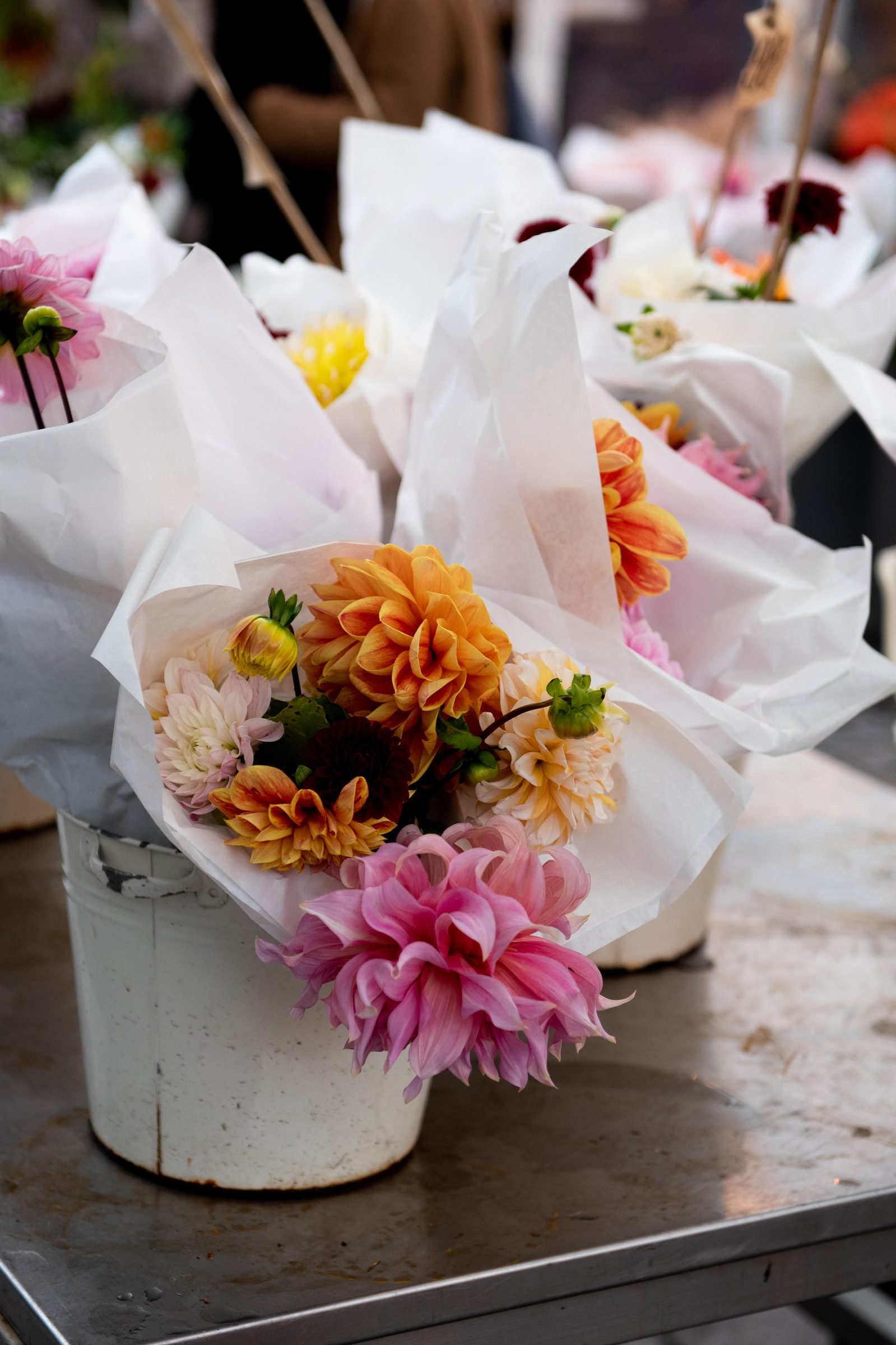 Read more about the article Snohomish County Farmer’s Markets: Your Complete 2026 Guide